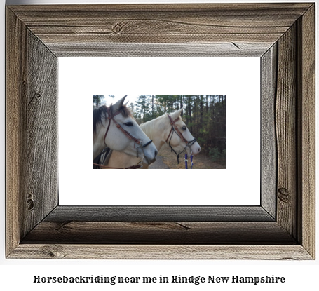 horseback riding near me in Rindge, New Hampshire